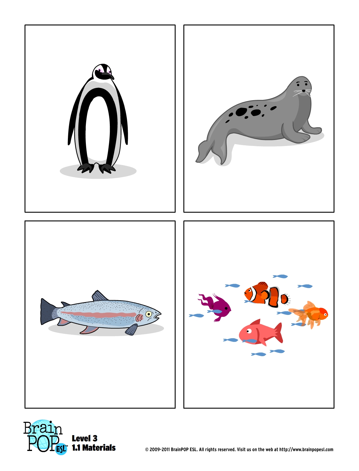 Penguin Graphic Organizer